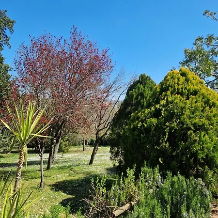 Il Giardino * Pietrelcina