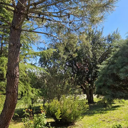 Apartament Il Giardino *
